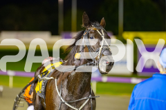 2025_PACEPIX_GP04072025_Race3_Whataretheodds_WIN_WEB-14