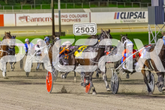 2025_PACEPIX_GP04072025_Race3_Whataretheodds_WIN_WEB-3