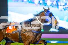 2025_PACEPIX_GP05082025_RACE3_Wheelsofortune_WIN_WEB-10