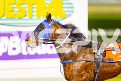 2025_PACEPIX_GP05082025_RACE3_Wheelsofortune_WIN_WEB-20