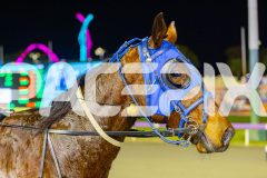 2025_PACEPIX_GP05082025_RACE3_Wheelsofortune_WIN_WEB-24