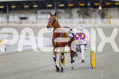 2025_PACEPIX_GP28072025_RACE3_WishingBelle_WIN_WEB-10
