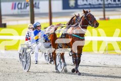 2025_PACEPIX_GP28072025_RACE3_WishingBelle_WIN_WEB-11