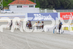 2025_PACEPIX_GP28072025_RACE3_WishingBelle_WIN_WEB-14