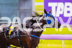 2025_PACEPIX_GP28072025_RACE3_WishingBelle_WIN_WEB-21