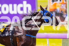 2025_PACEPIX_GP28072025_RACE3_WishingBelle_WIN_WEB-22