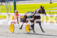 2025_PACEPIX_GP28072025_RACE3_WishingBelle_WIN_WEB-23