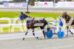 2025_PACEPIX_GP28072025_RACE3_WishingBelle_WIN_WEB-27