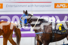 2025_PACEPIX_GP28072025_RACE3_WishingBelle_WIN_WEB-28