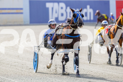 2025_PACEPIX_GP28072025_RACE3_WishingBelle_WIN_WEB-3