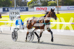2025_PACEPIX_GP28072025_RACE3_WishingBelle_WIN_WEB-5