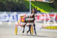 2025_PACEPIX_GP28072025_RACE3_WishingBelle_WIN_WEB-6