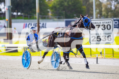 2025_PACEPIX_GP28072025_RACE3_WishingBelle_WIN_WEB-8