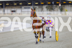 2025_PACEPIX_GP28072025_RACE3_WishingBelle_WIN_WEB-9