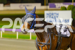2025_PACEPIX_GP27052025_RACE3_XciteMe_WIN_WEB-19