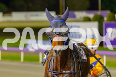 2025_PACEPIX_GP27052025_RACE3_XciteMe_WIN_WEB-20