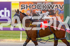 2025_PACEPIX_GP07102025_RACE3_Zlato_WIN_WEB-18