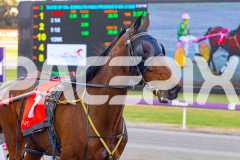 2025_PACEPIX_GP07102025_RACE3_Zlato_WIN_WEB-20