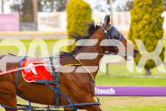 2025_PACEPIX_GP07102025_RACE3_Zlato_WIN_WEB-4