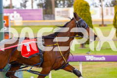 2025_PACEPIX_GP07102025_RACE3_Zlato_WIN_WEB-8