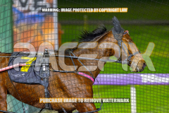 2026_PACEPIX_GP28082026_Race3_BoyBlue_WIN_WEB-10