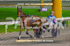 2026_PACEPIX_GP28082026_Race3_BoyBlue_WIN_WEB-12