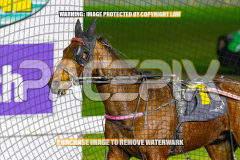 2026_PACEPIX_GP28082026_Race3_BoyBlue_WIN_WEB-13