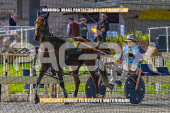 2026_PACEPIX_GP28082026_Race3_BoyBlue_WIN_WEB-15