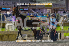 2026_PACEPIX_GP28082026_Race3_BoyBlue_WIN_WEB-16