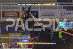 2026_PACEPIX_GP28082026_Race3_BoyBlue_WIN_WEB-17