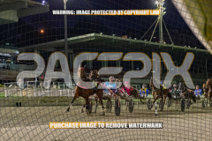 2026_PACEPIX_GP28082026_Race3_BoyBlue_WIN_WEB-3