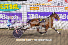 2026_PACEPIX_GP28082026_Race3_BoyBlue_WIN_WEB-8