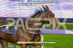 2026_PACEPIX_GP28082026_Race3_BoyBlue_WIN_WEB-9
