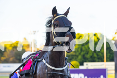 2026_PACEPIX_GP31032026_RACE3_SammySaffarell_WIN_WEB-10