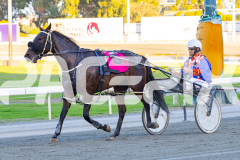 2026_PACEPIX_GP31032026_RACE3_SammySaffarell_WIN_WEB-7