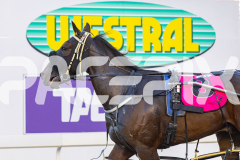 2026_PACEPIX_GP31032026_RACE3_SammySaffarell_WIN_WEB-8