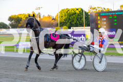 2026_PACEPIX_GP31032026_RACE3_SammySaffarell_WIN_WEB-9
