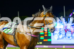 2025_PACEPIX_GP12092025_Race4_Aardiebytheseaside_WIN_WEB-10
