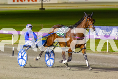 2025_PACEPIX_GP12092025_Race4_Aardiebytheseaside_WIN_WEB-5