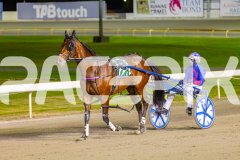 2025_PACEPIX_GP12092025_Race4_Aardiebytheseaside_WIN_WEB-6