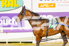 2025_PACEPIX_GP12092025_Race4_Aardiebytheseaside_WIN_WEB-7