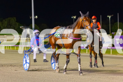 2025_PACEPIX_GP12092025_Race4_Aardiebytheseaside_WIN_WEB-9