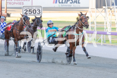 All-Out-Of-Aces_17-02-2026_WIN_Cloucester-Park_4__05