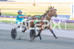 All-Out-Of-Aces_17-02-2026_WIN_Cloucester-Park_4__06