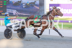 All-Out-Of-Aces_17-02-2026_WIN_Cloucester-Park_4__08