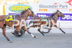 All-Out-Of-Aces_17-02-2026_WIN_Cloucester-Park_4__09