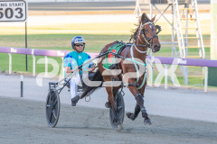 All-Out-Of-Aces_17-02-2026_WIN_Cloucester-Park_4__10