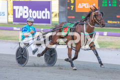 All-Out-Of-Aces_17-02-2026_WIN_Cloucester-Park_4__11
