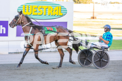 All-Out-Of-Aces_17-02-2026_WIN_Cloucester-Park_4__12