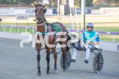 All-Out-Of-Aces_17-02-2026_WIN_Cloucester-Park_4__13